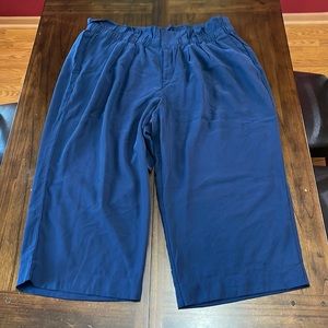 Lane Bryant Plus Size Elastic (Gathered Waist) Pleated Ankle Pant